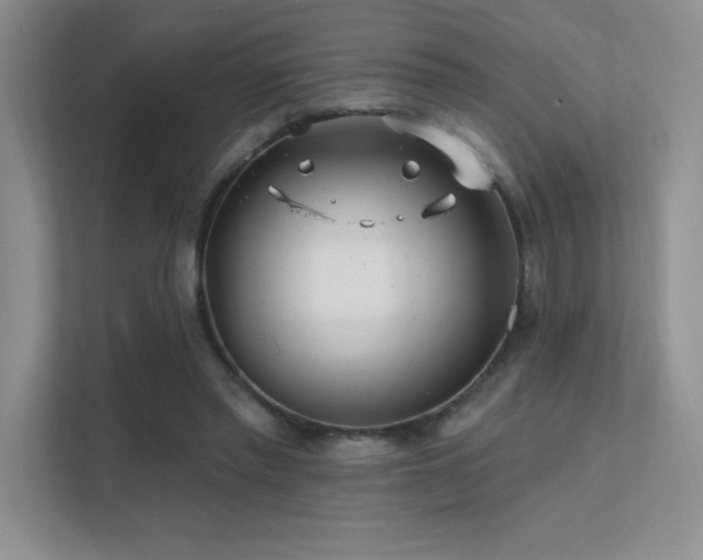 X0000112390397200908131553