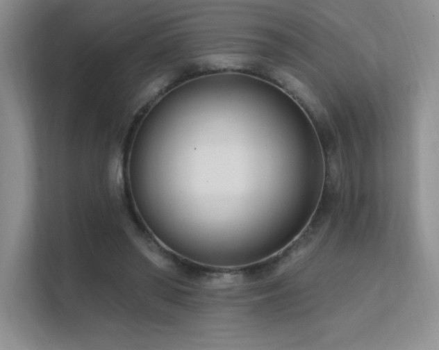 X0000112390398200908131553