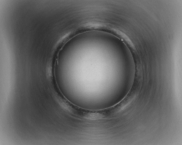 X0000112390399200908131553