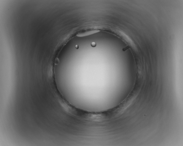 X0000112390401200908131553