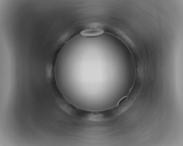 X0000112390403200908131553