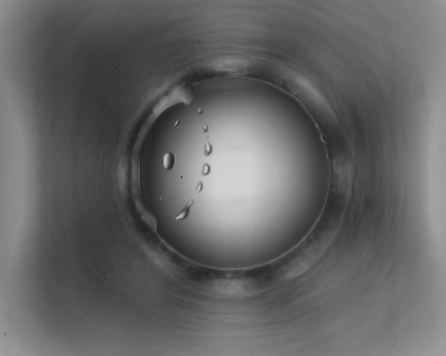 X0000112390404200908131553