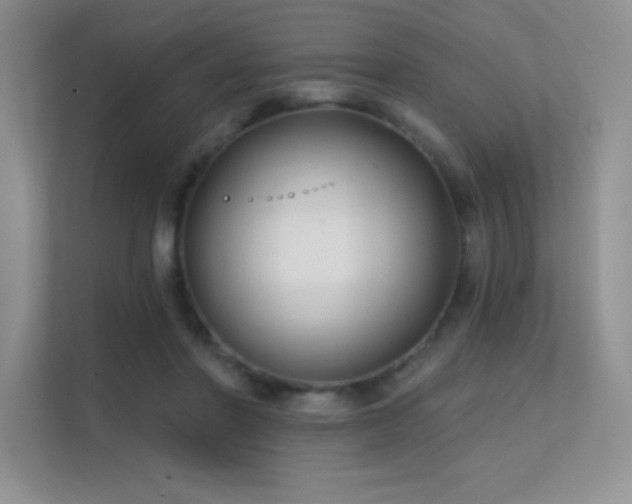 X0000112390406200908131553