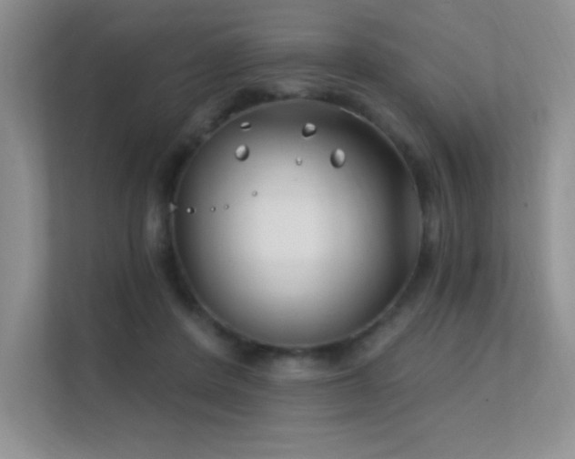 X0000112390408200908131553