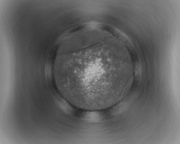 X0000112390409200908131553