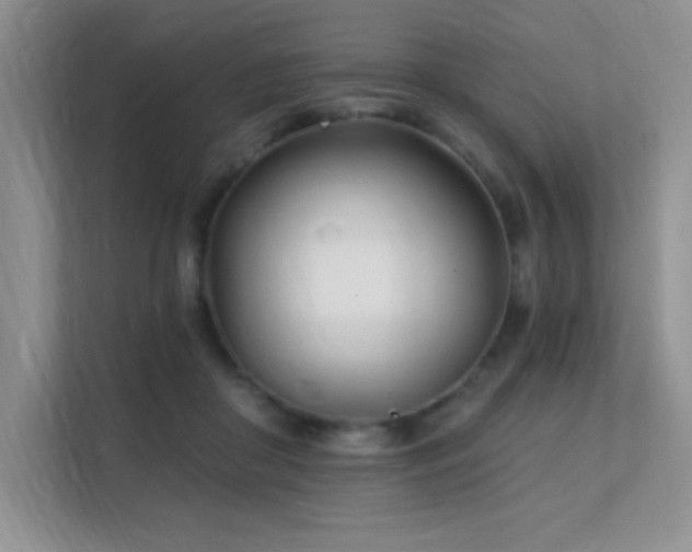 X0000112390410200908131553