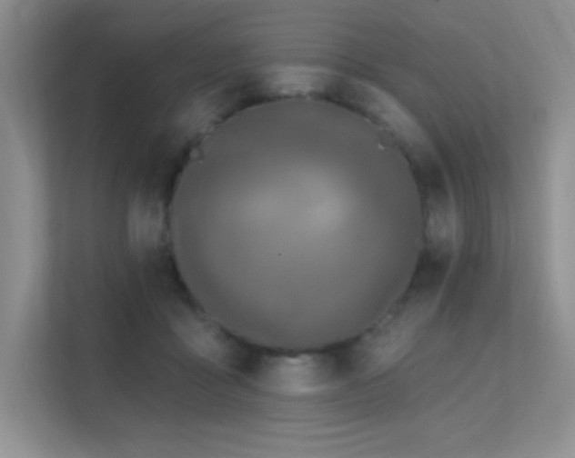 X0000112390411200908131553