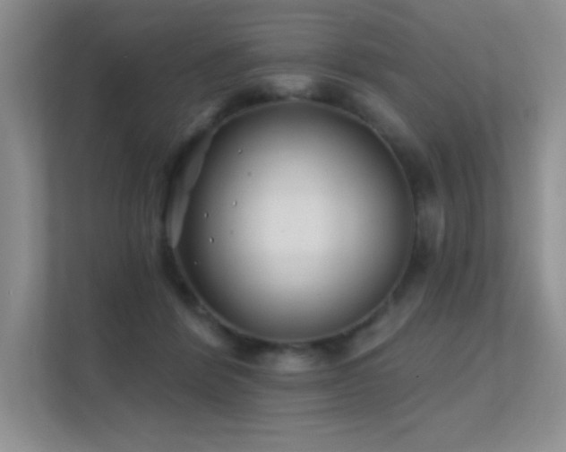 X0000112390412200908131553