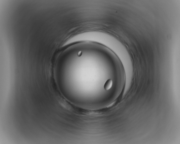 X0000112390413200908131553