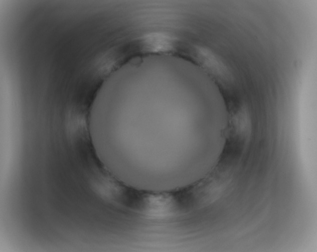 X0000112390415200908131553