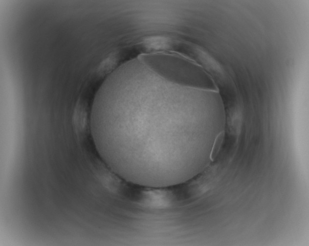 X0000112390417200908131553