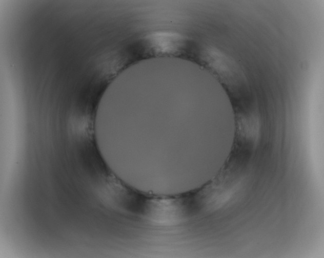 X0000112390419200908131553