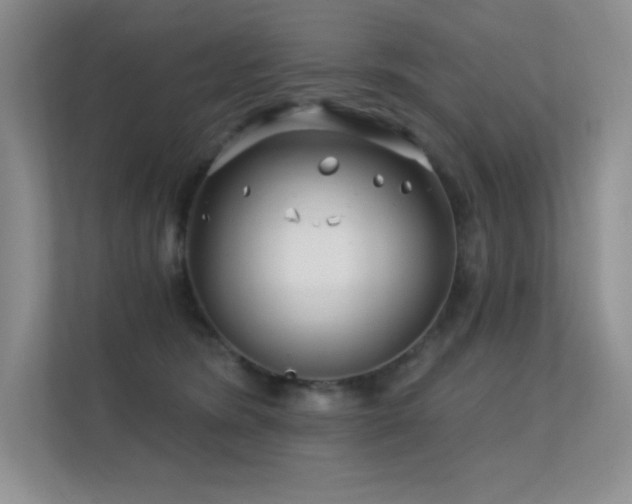 X0000112390420200908131553