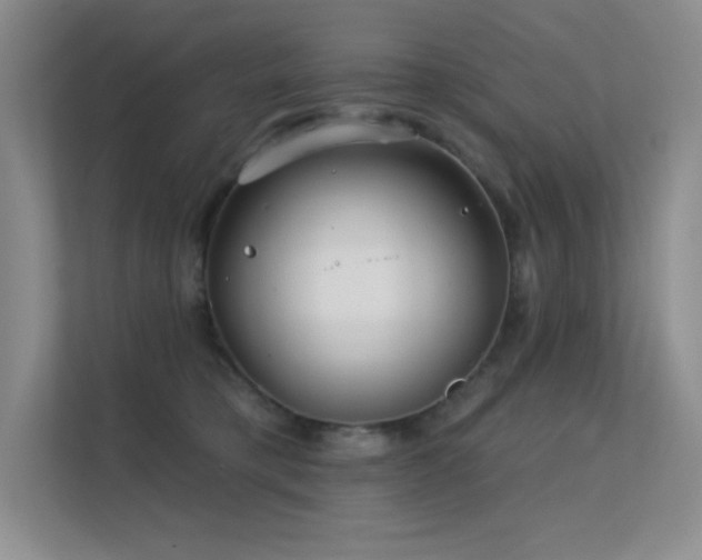 X0000112390421200908131553