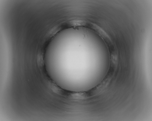 X0000112390422200908131553