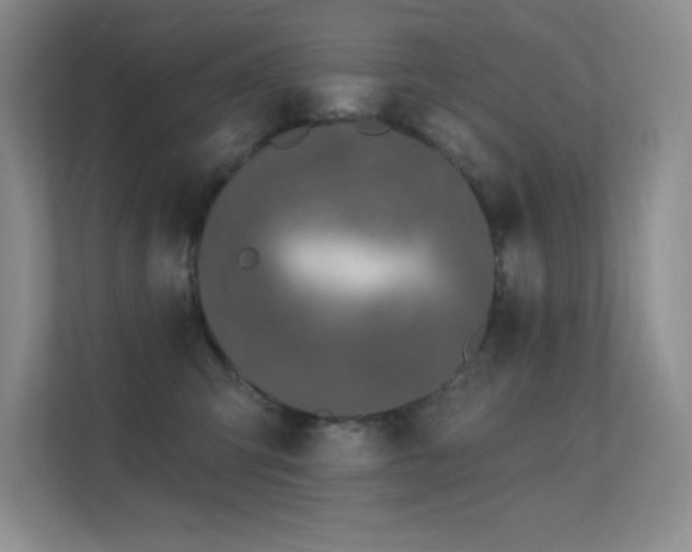 X0000112390423200908131553