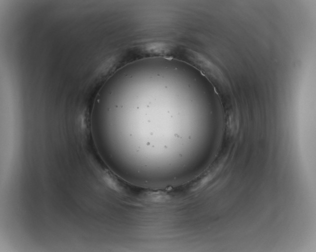 X0000112390424200908131553