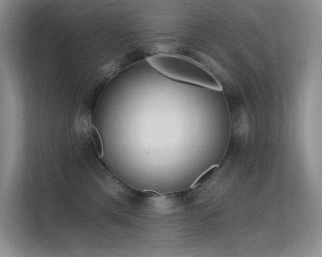 X0000112390425200908131553