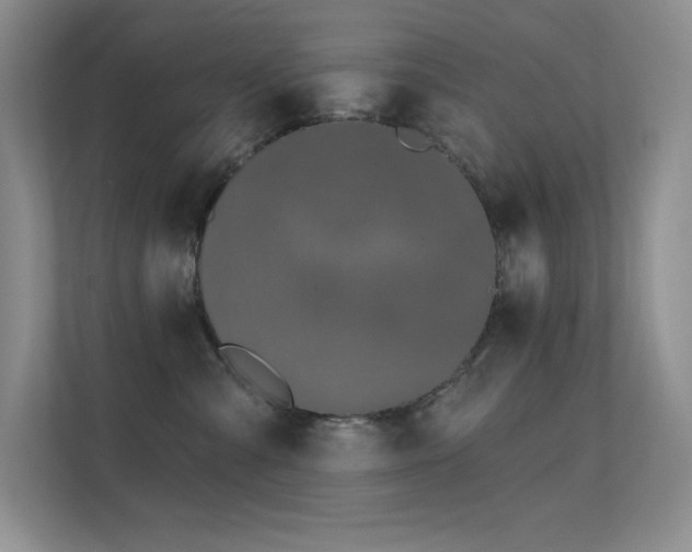 X0000112390427200908131553