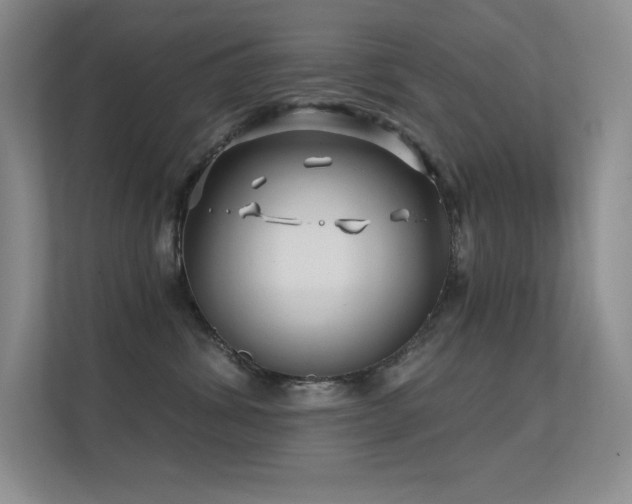 X0000112390428200908131553