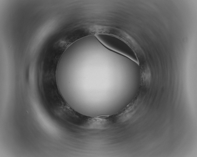 X0000112390429200908131553