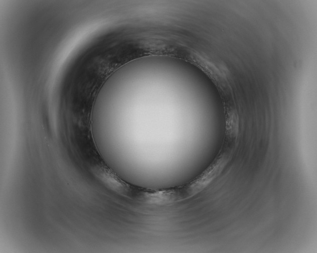 X0000112390430200908131553