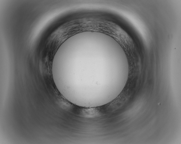 X0000112390431200908131553