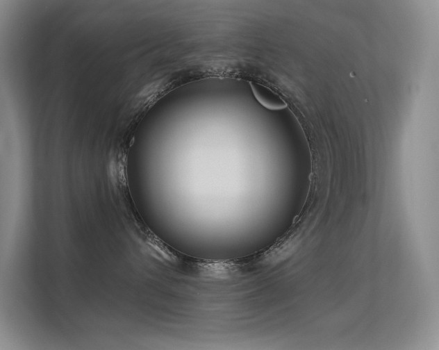 X0000112390432200908131553