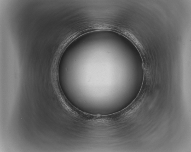 X0000112390433200908131552