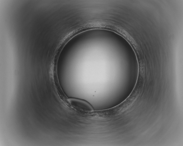 X0000112390434200908131552