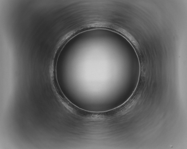 X0000112390437200908131552