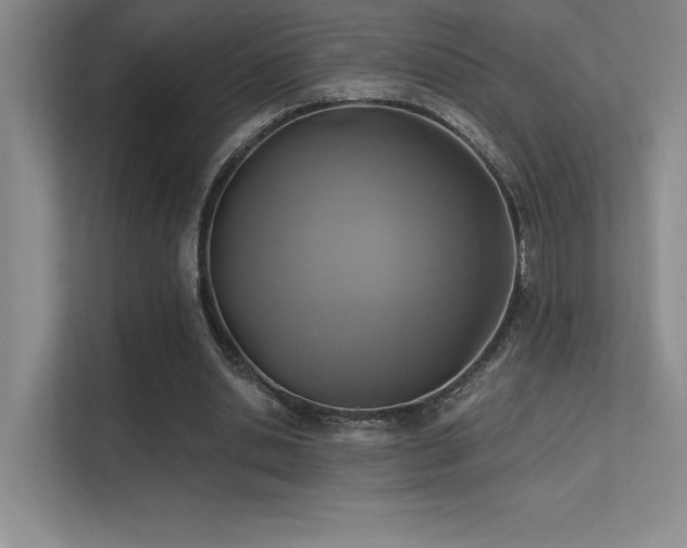 X0000112390438200908131552