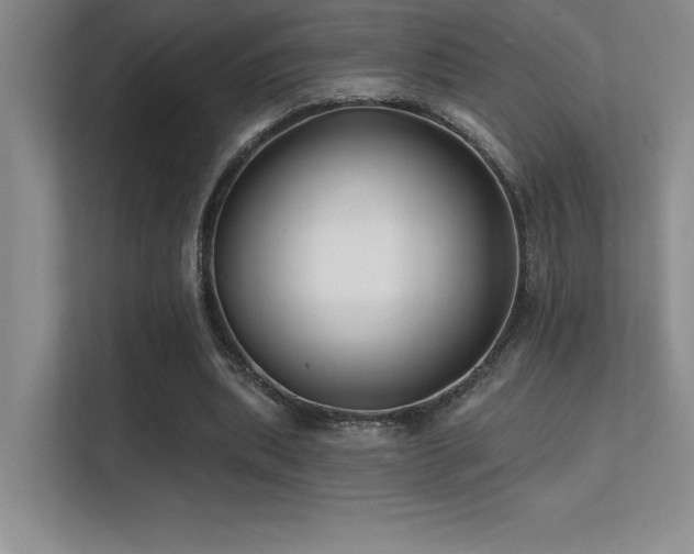 X0000112390439200908131552