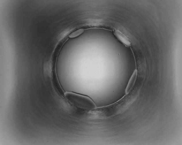 X0000112390440200908131552