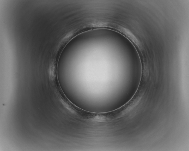 X0000112390441200908131552