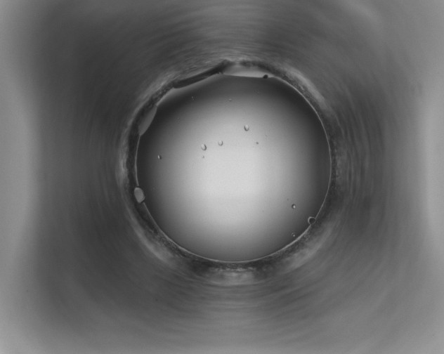 X0000112390443200908131552