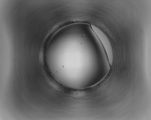 X0000112390444200908131552