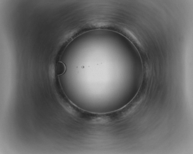 X0000112390447200908131552