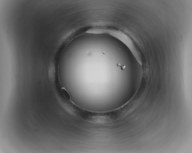 X0000112390448200908131552