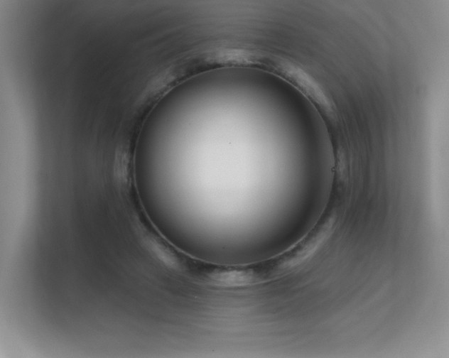 X0000112390449200908131552