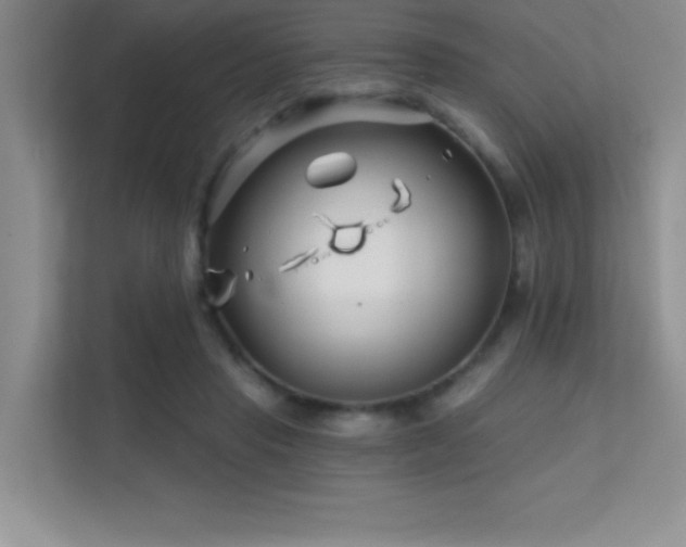 X0000112390453200908131552