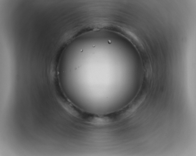 X0000112390455200908131552