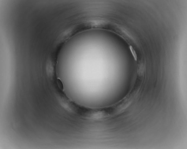 X0000112390456200908131552