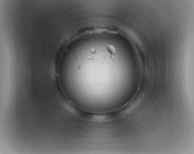 X0000112390457200908131552