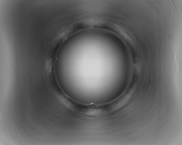 X0000112390458200908131552