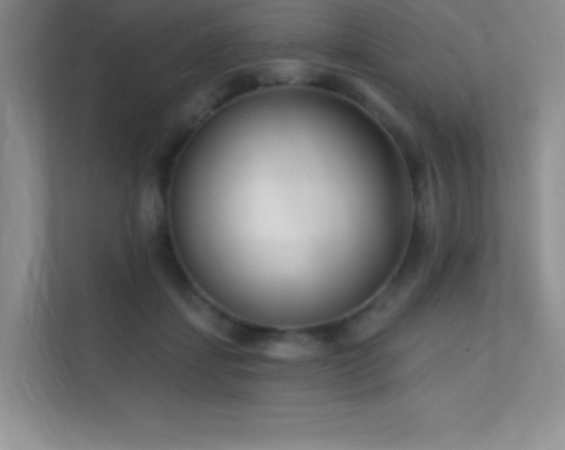 X0000112390459200908131552