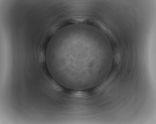 X0000112390467200908131552