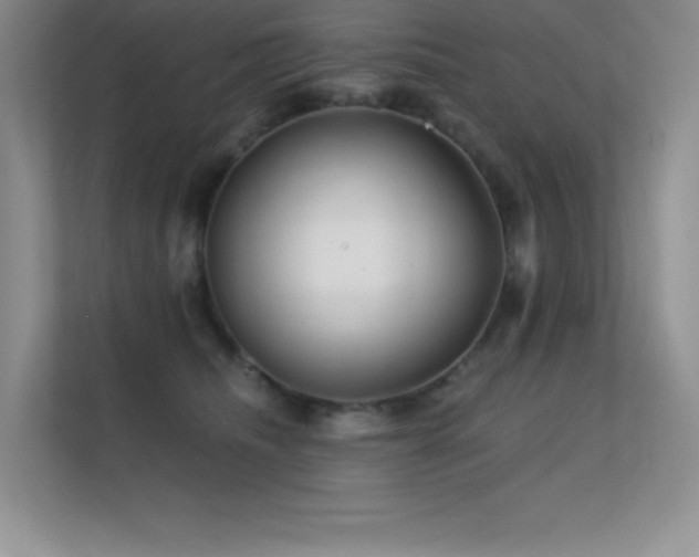 X0000112390468200908131552