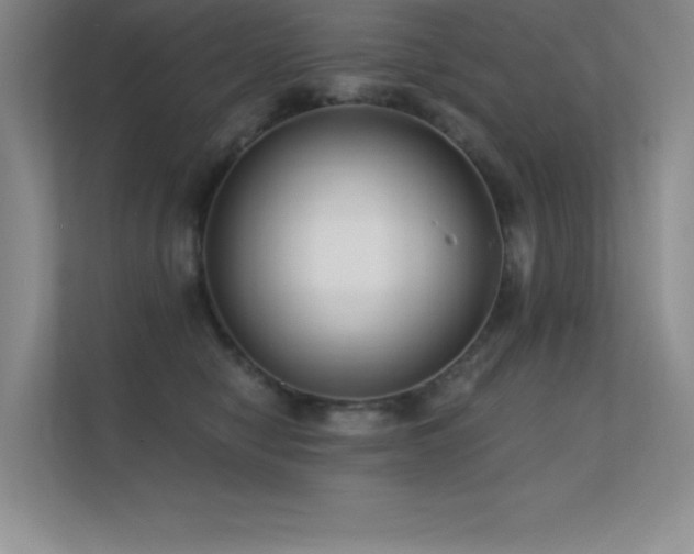 X0000112390470200908131552