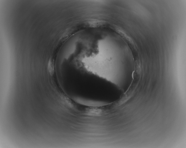 X0000112390471200908131552